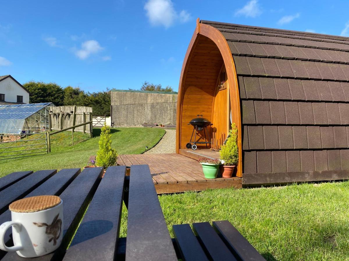 Garden Cottage Glamping Pod Boncath Exterior photo