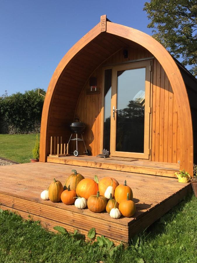 Garden Cottage Glamping Pod Boncath Exterior photo